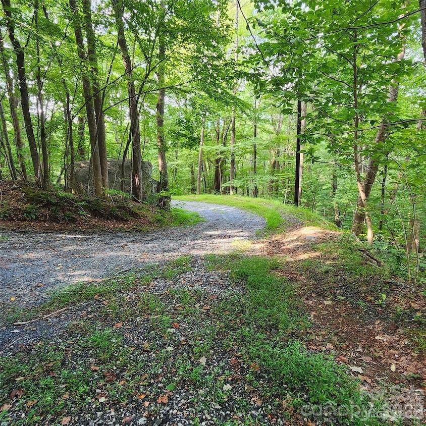 0 Switchback Road Lake Lure, NC 28746 - Photo 1 of 4 a view of a yard with trees