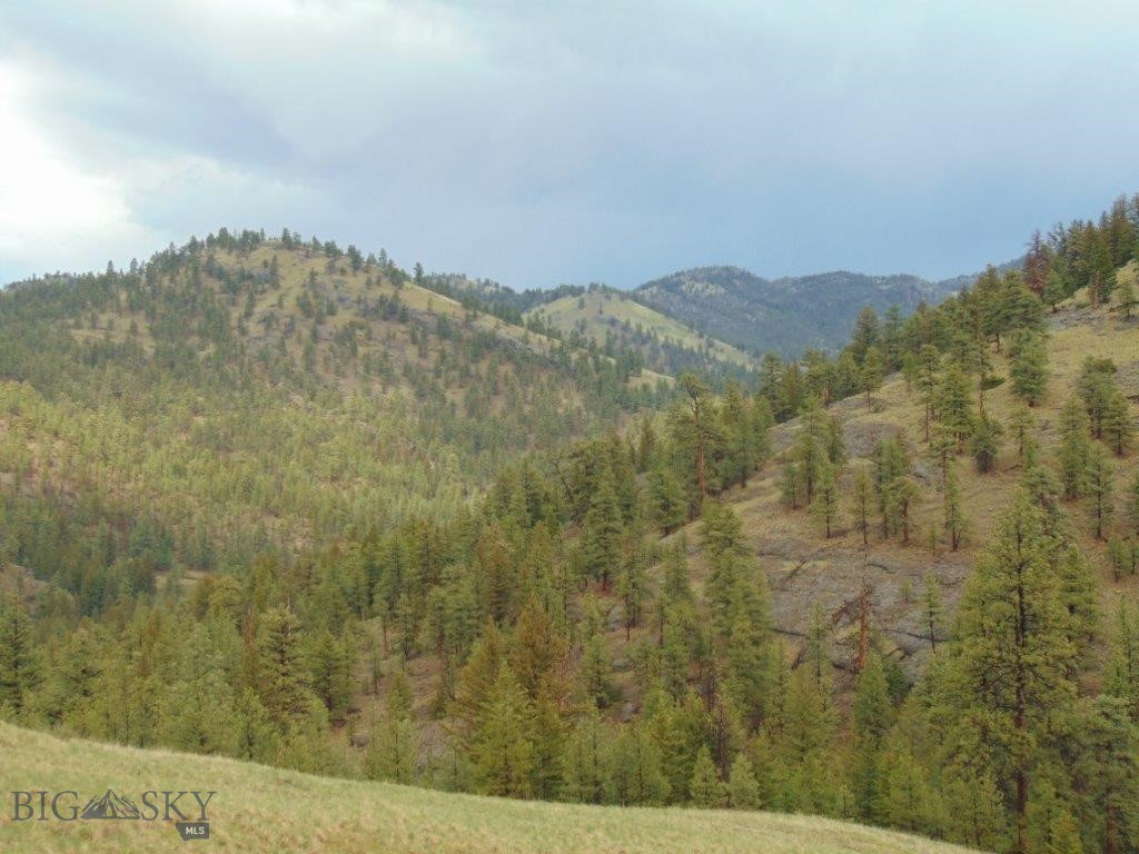 Tbd Shady Spring Lane Cascade, MT 59421 - Photo 20 of 78 Gallery Image 20