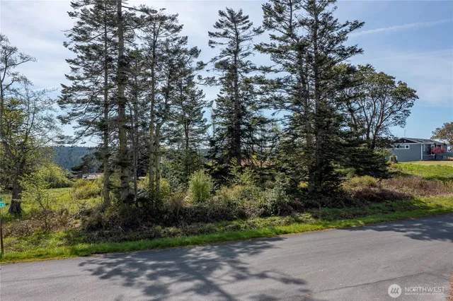 a view of park with large trees