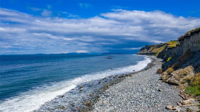 a view of a dry yard with wooden fence