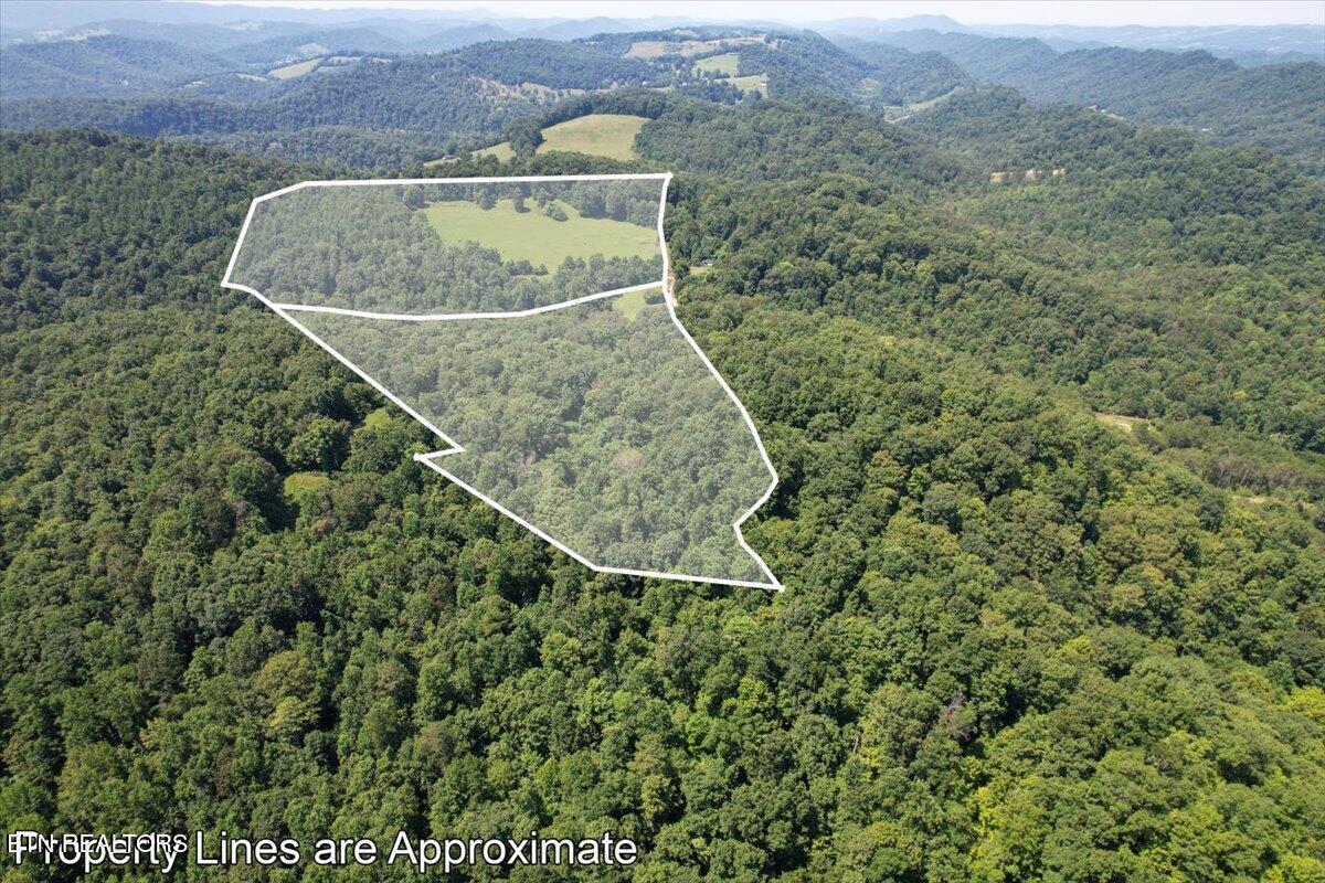 42 Clinch River Road Tazewell, TN 37879 - Photo 6 of 7 27-DJI_0877-2