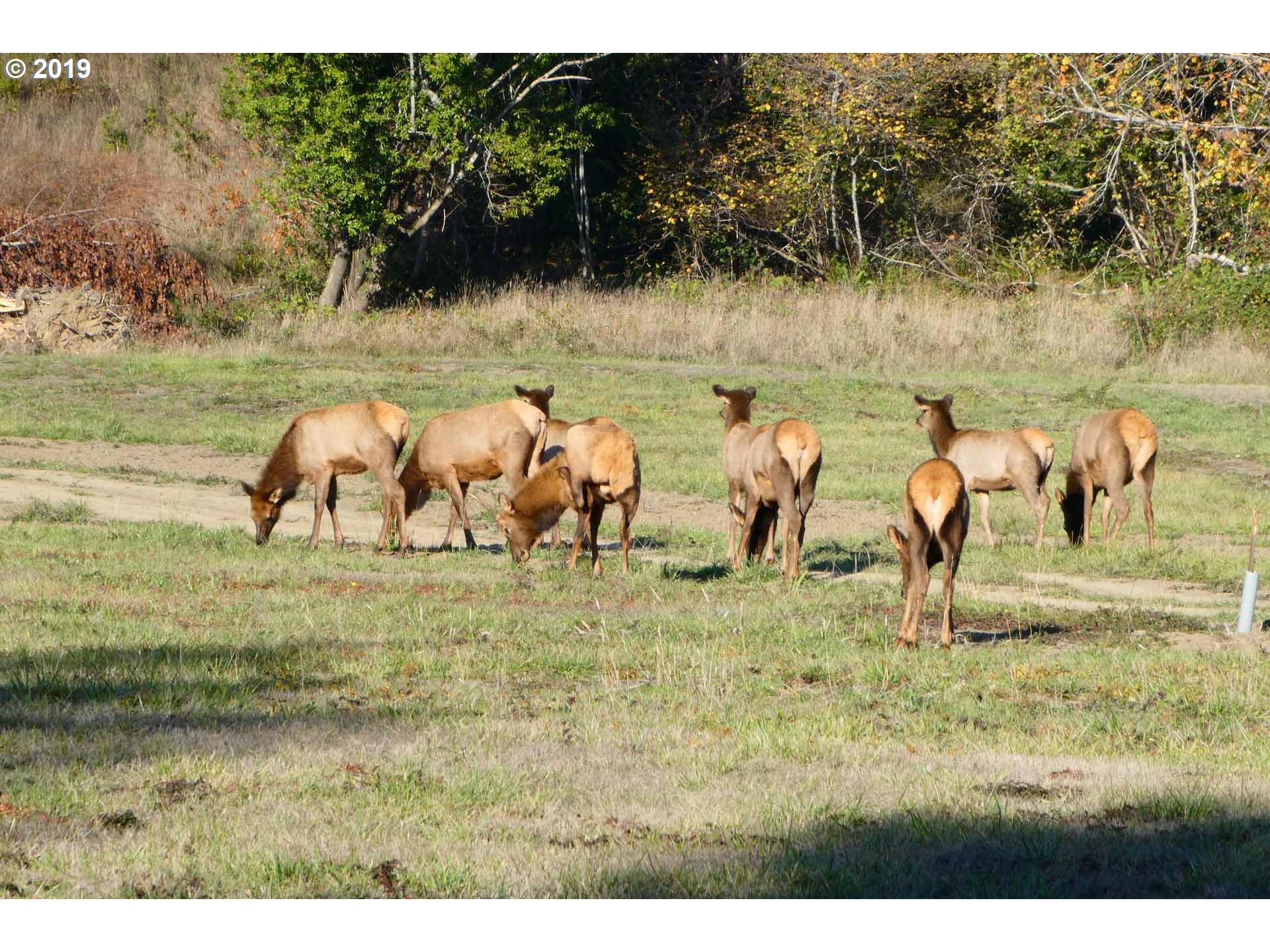 Saunders Creek Road, Unit 2 Gold Beach, OR 97444 - Photo 13 of 27 Gallery Image 13