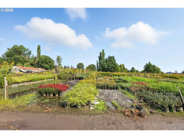 a view of a yard with trees
