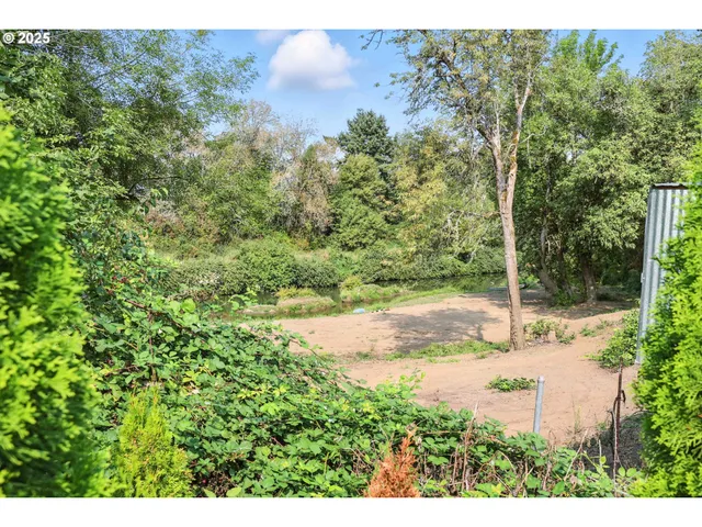 a view of a city with mountain