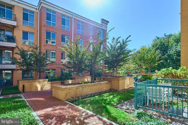 a view of outdoor space yard and patio