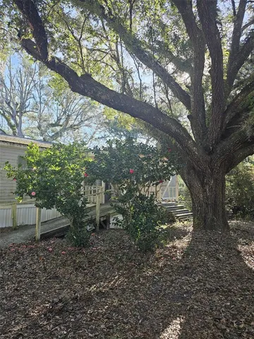 a view of a tree in the middle of a yard