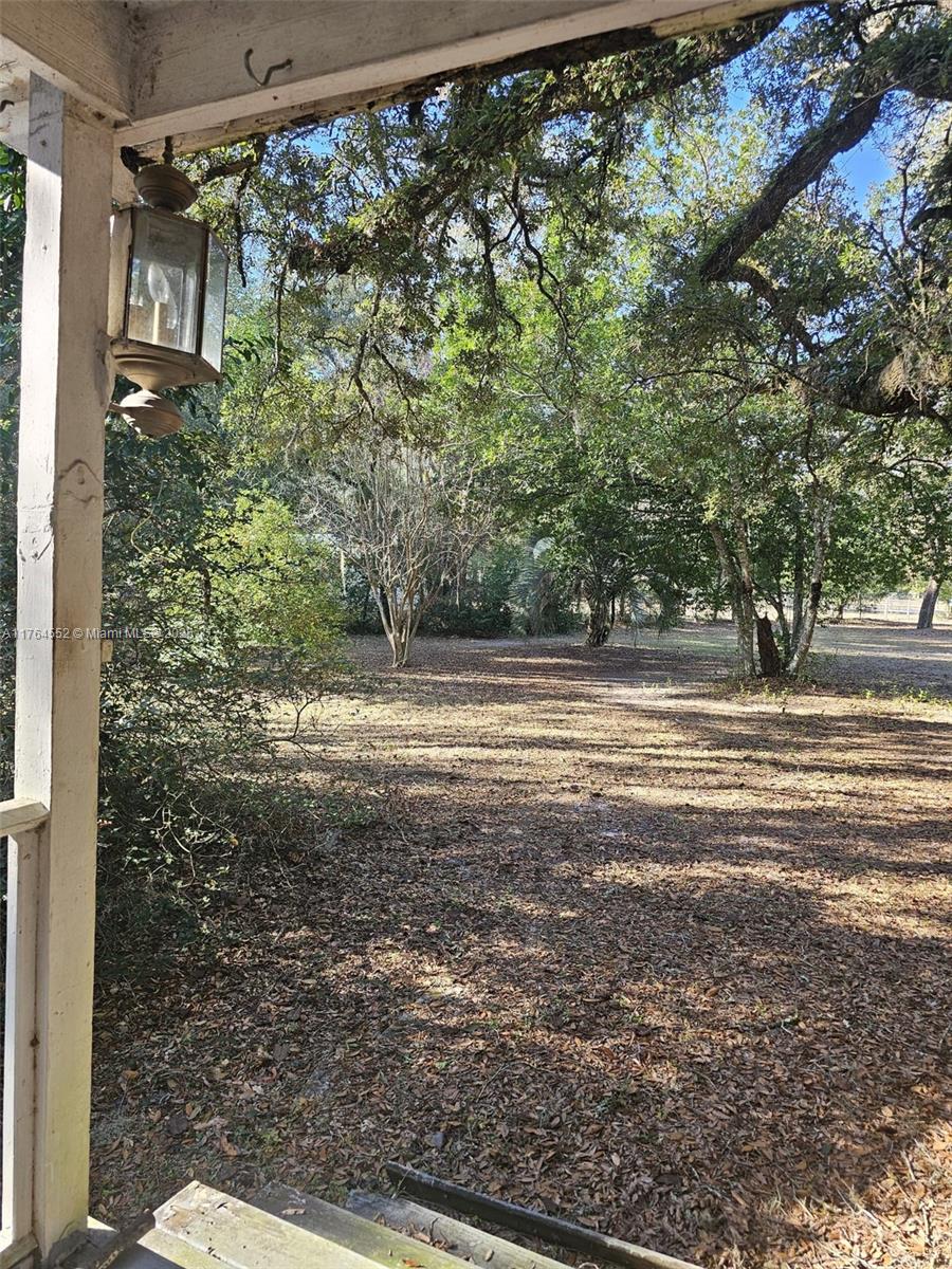 18520 Wildlife Trail Spring Hill, FL 34610 - Photo 6 of 12 a view of outdoor space and yard