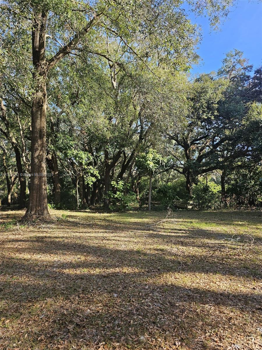 18520 Wildlife Trail Spring Hill, FL 34610 - Photo 7 of 12 a view of a field with trees in the background