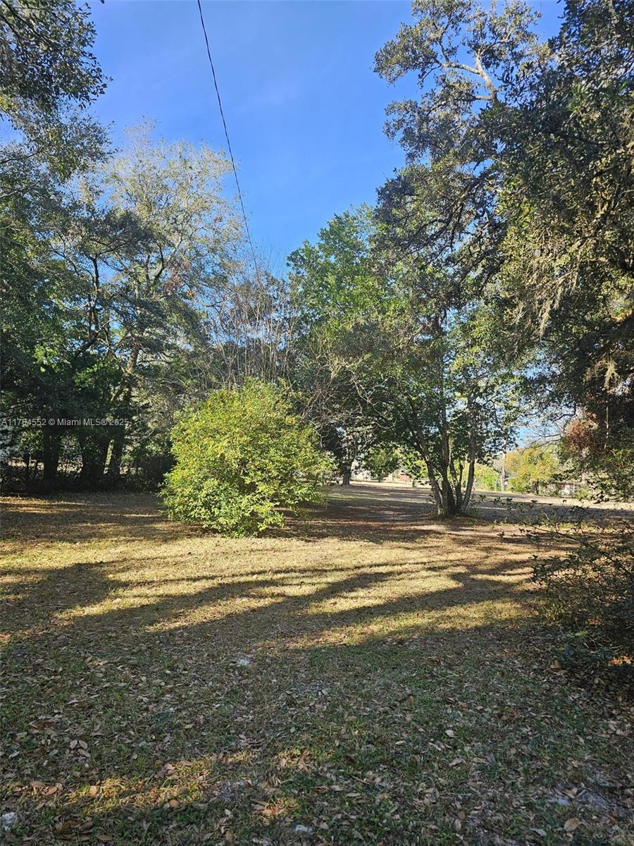 18520 Wildlife Trail Spring Hill, FL 34610 - Photo 8 of 12