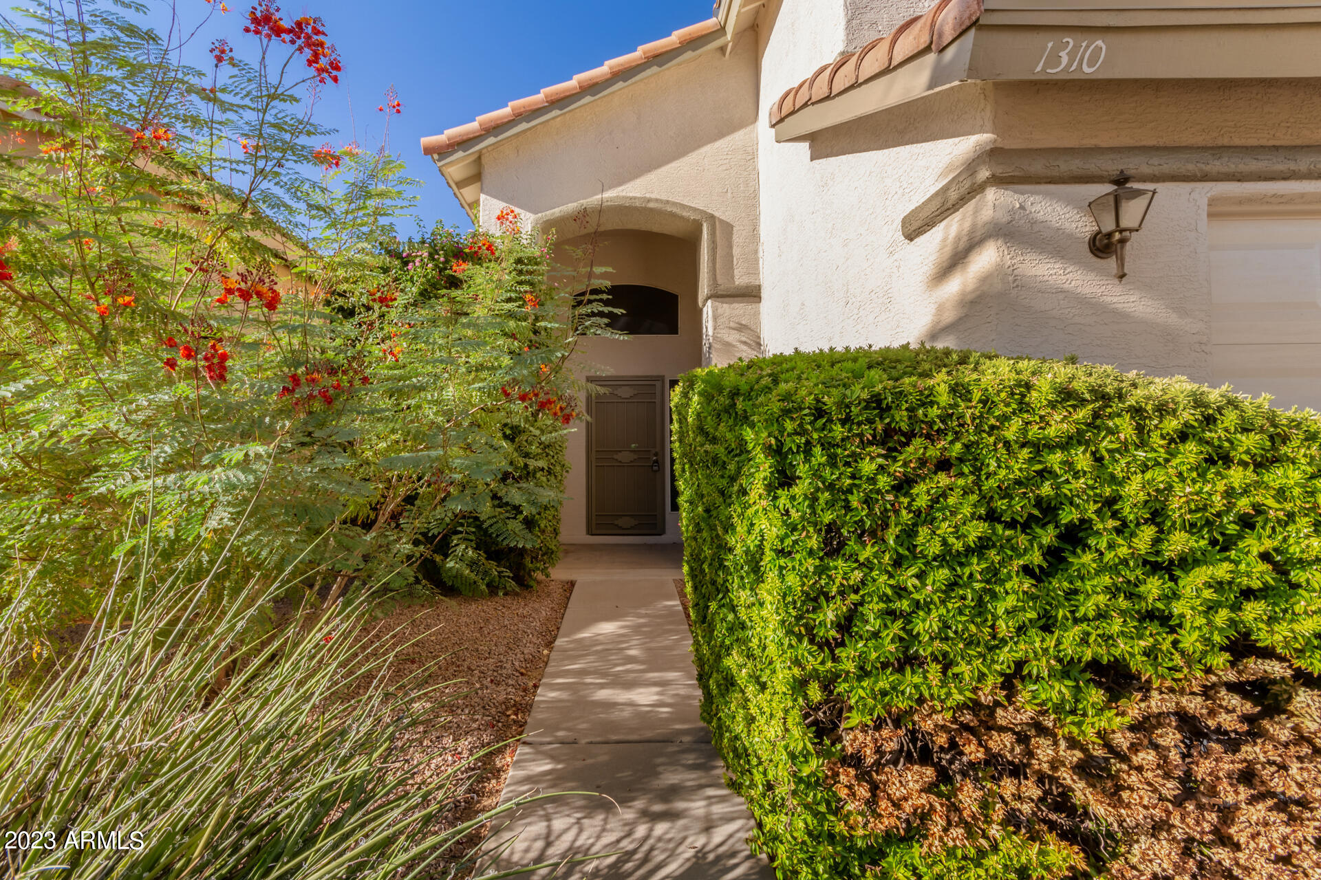 1310 East Angela Drive Phoenix, AZ 85022 - Photo 17 of 19 a front view of a house with a yard