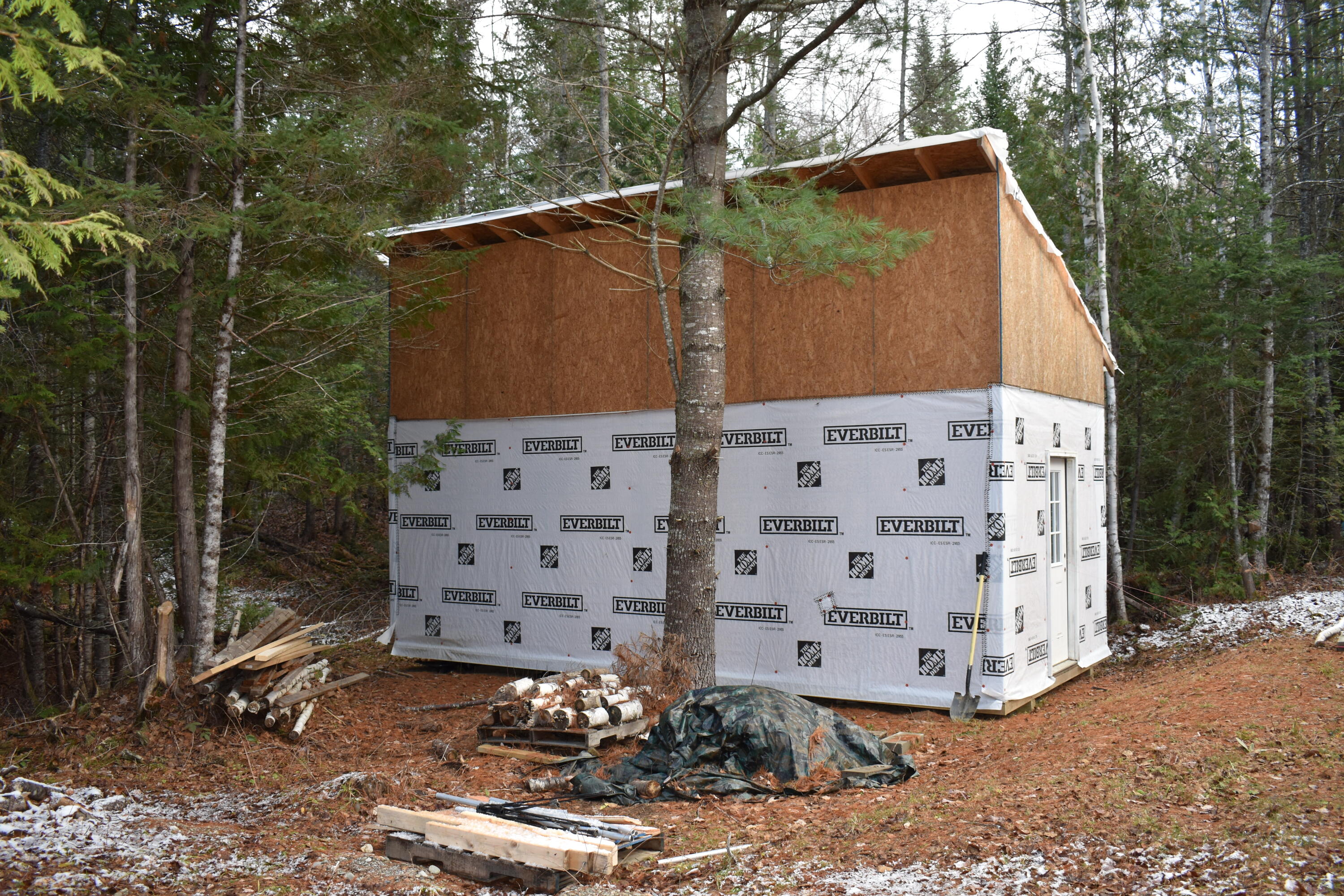 Lot 4 McGinley Road Springfield, ME 04487 - Photo 21 of 34 DSC_0491