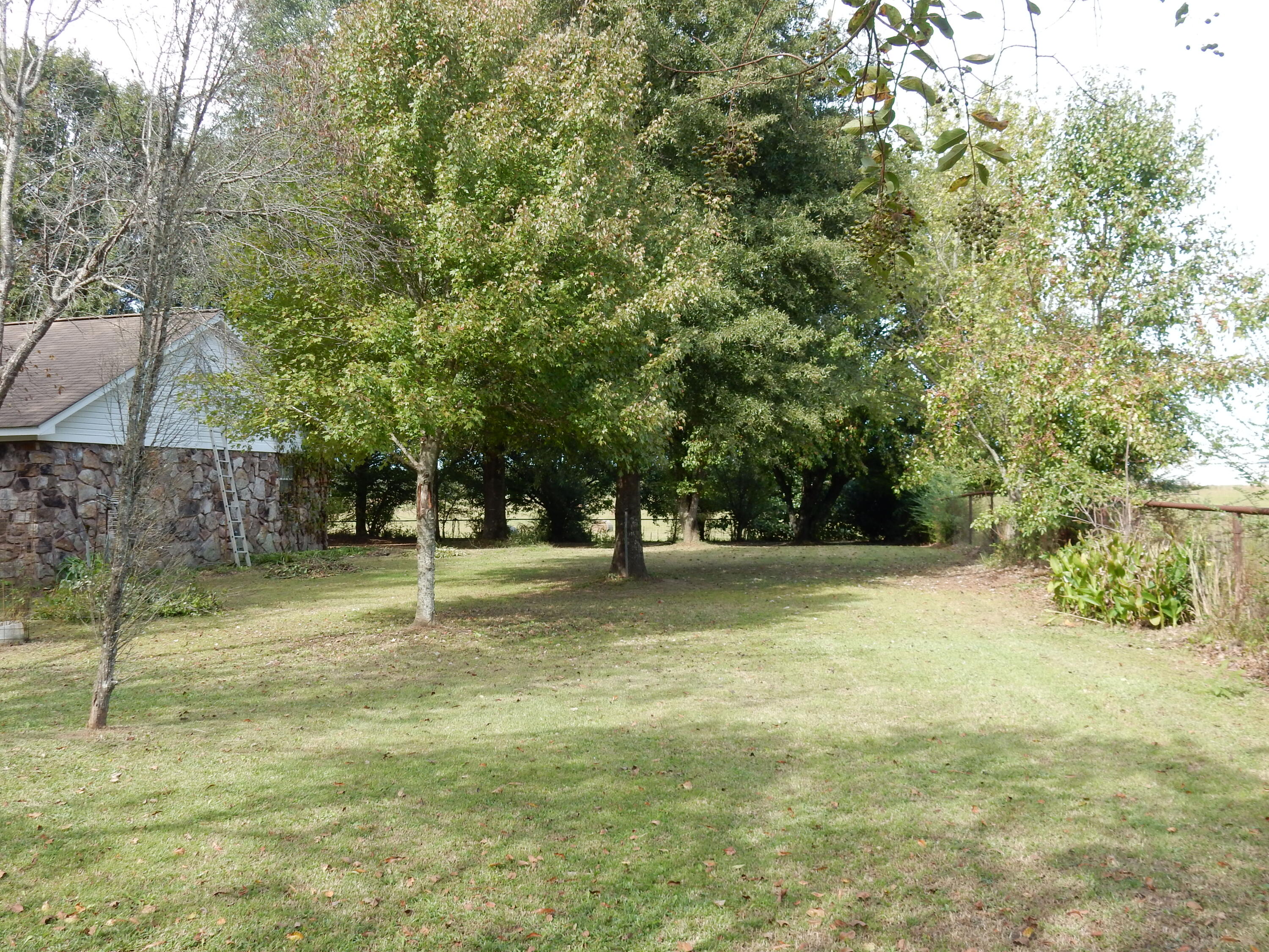 1541 Holston Road Como, MS 38619 - Photo 4 of 46 DSCN2568