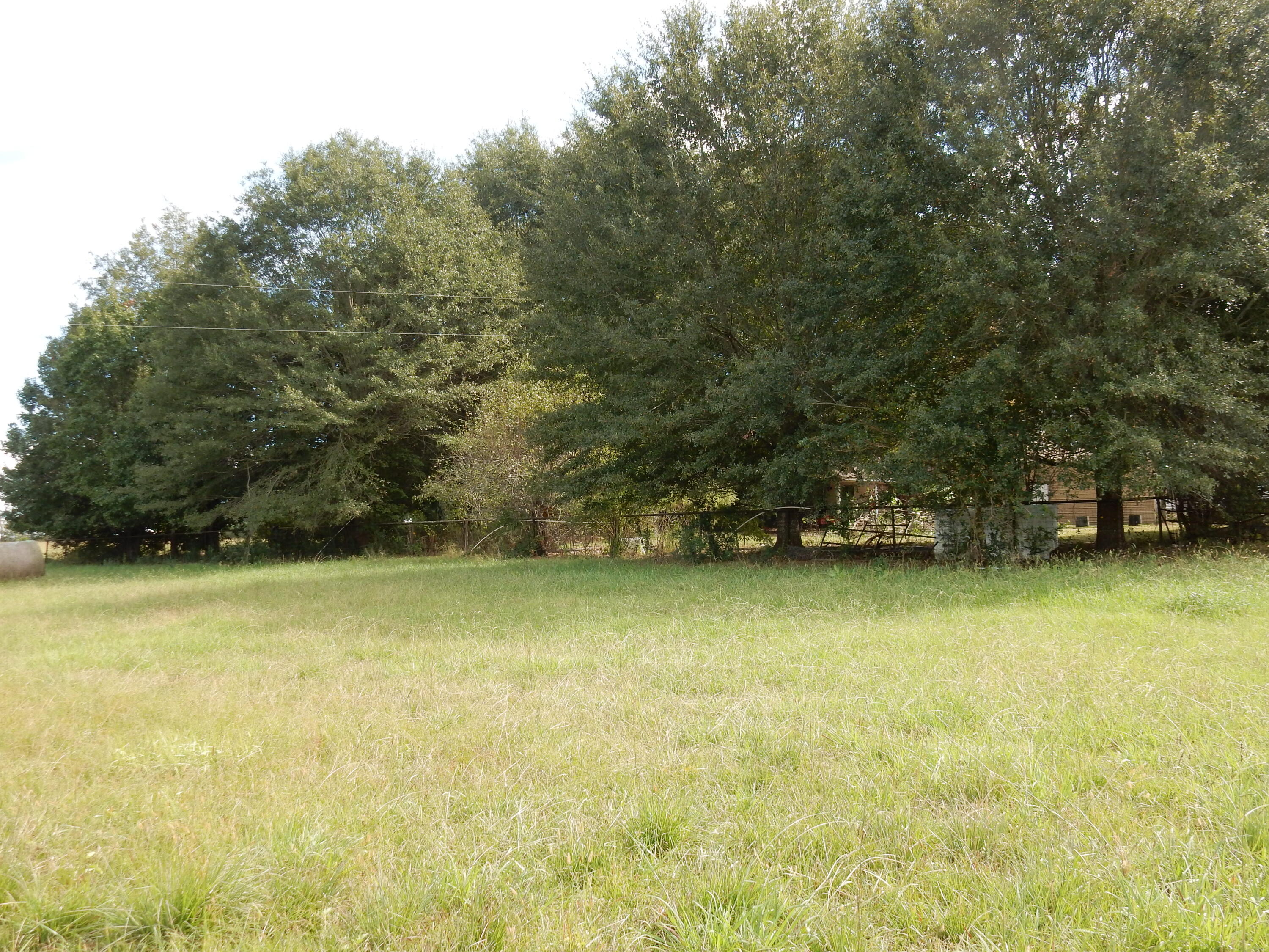 1541 Holston Road Como, MS 38619 - Photo 45 of 46 DSCN2576