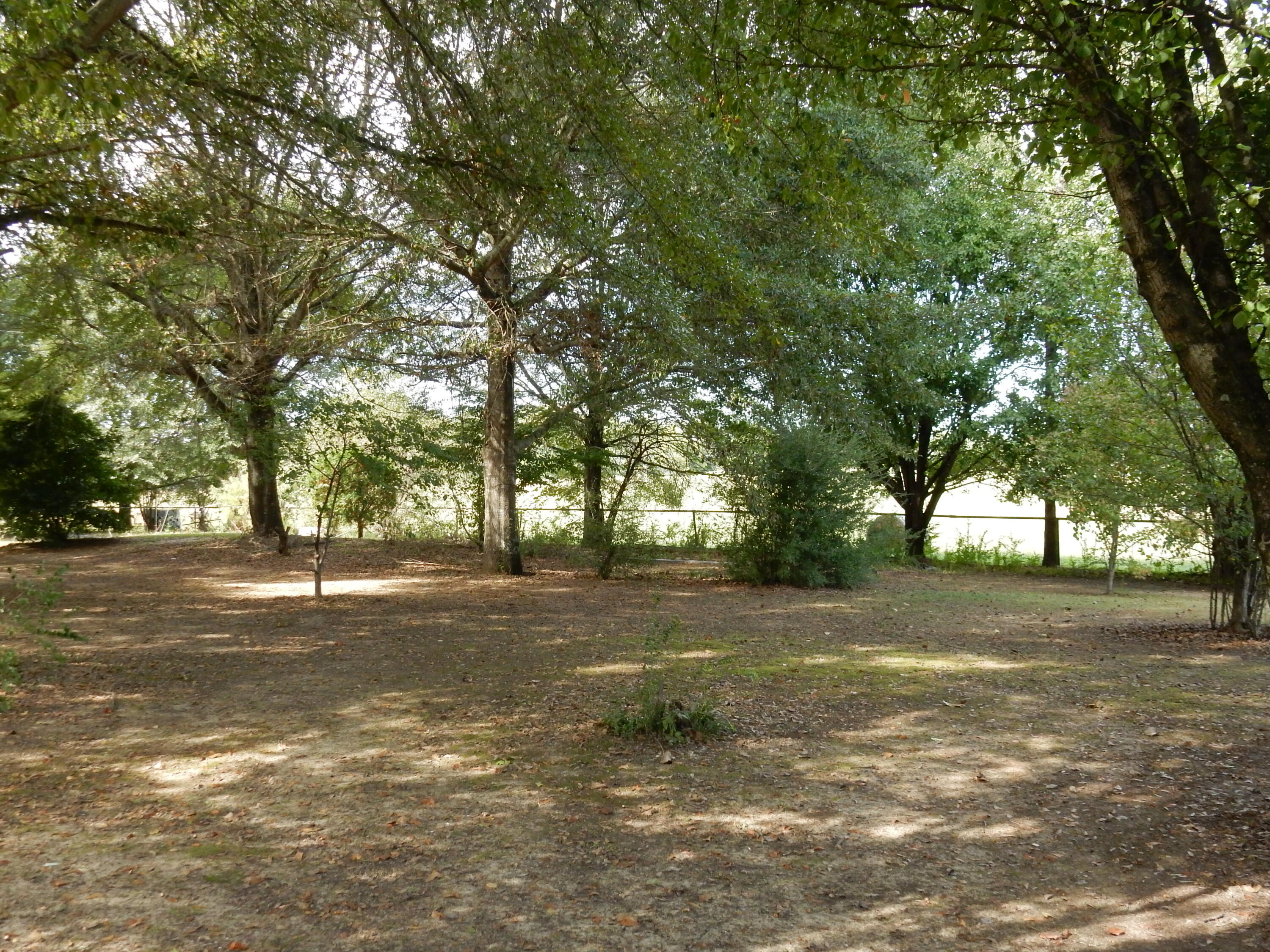 1541 Holston Road Como, MS 38619 - Photo 5 of 46 DSCN2569