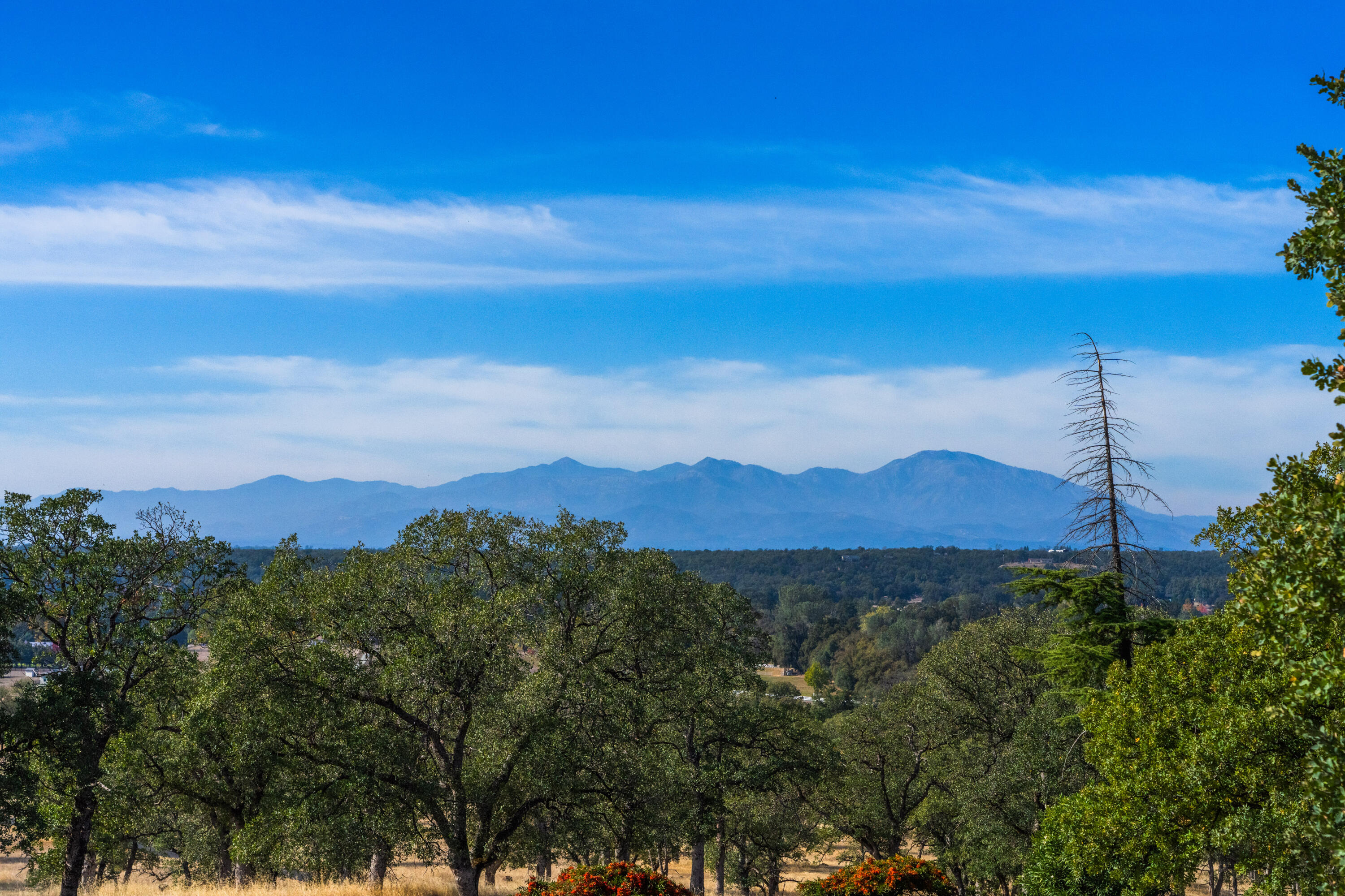 8441 Silver Bridge Road Palo Cedro, CA 96073 - Photo 83 of 84 IMG-003