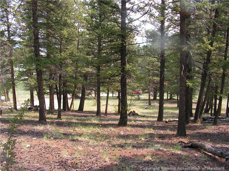 1610 Redhill Road Fairplay, CO 80440 - Photo 19 of 25 Land/Lot. 3.25 acres of a park like setting will give you privacy and quiet!!