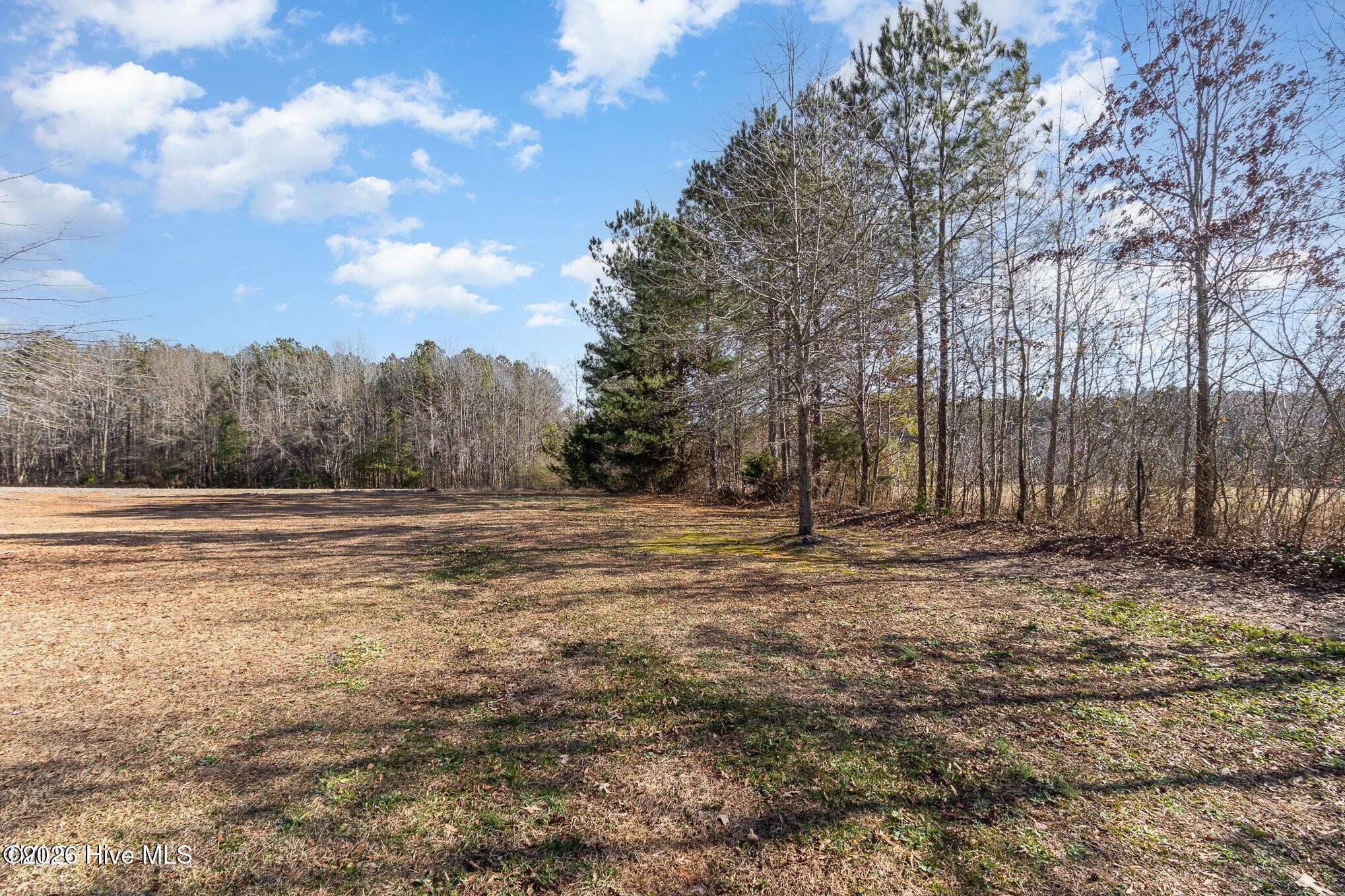 605 Big Woods Road Macon, NC 27551 - Photo 4 of 37