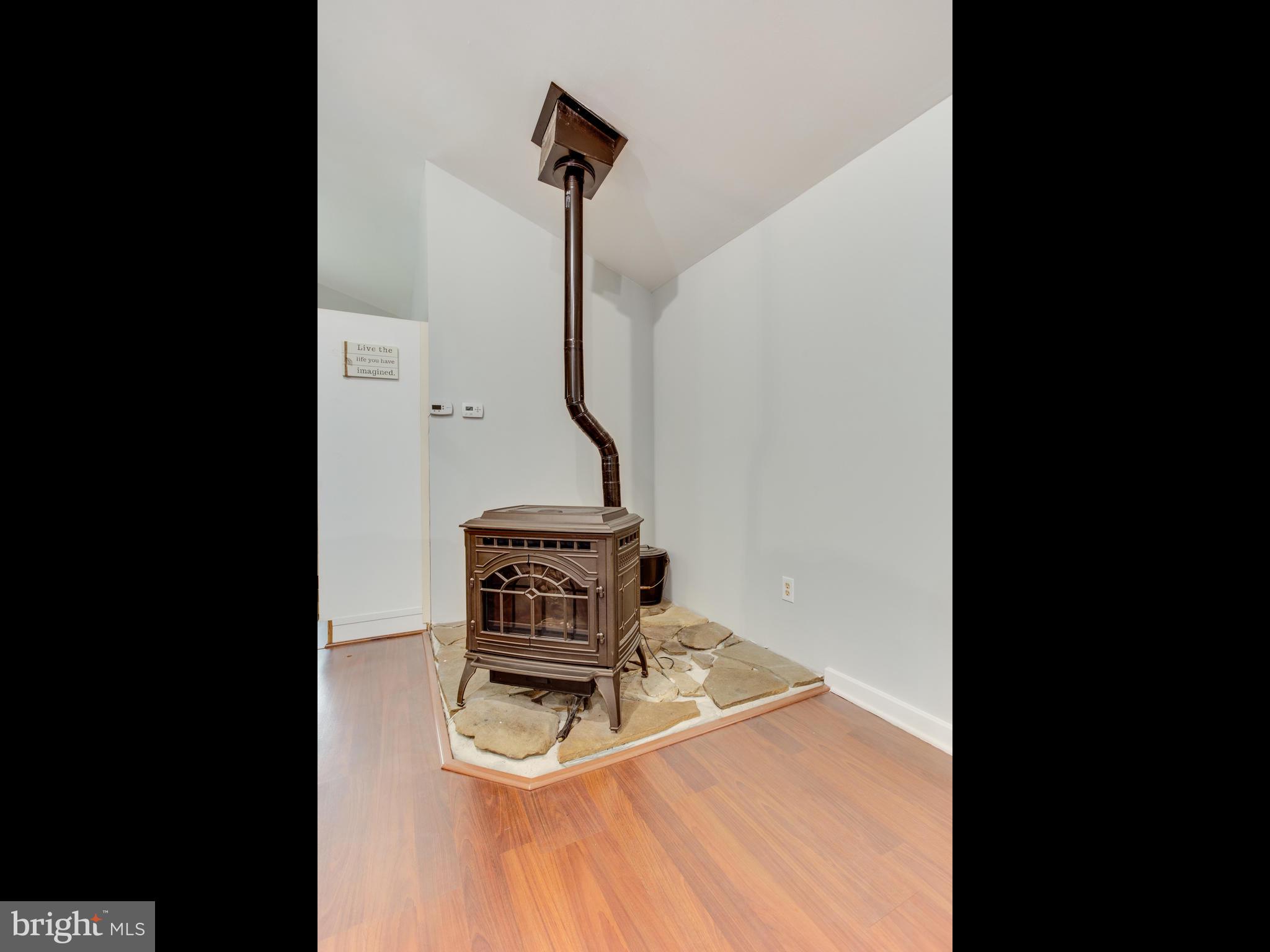 950 Mayo Road Edgewater, MD 21037 - Photo 15 of 46 Pellet stove that heats the whole house