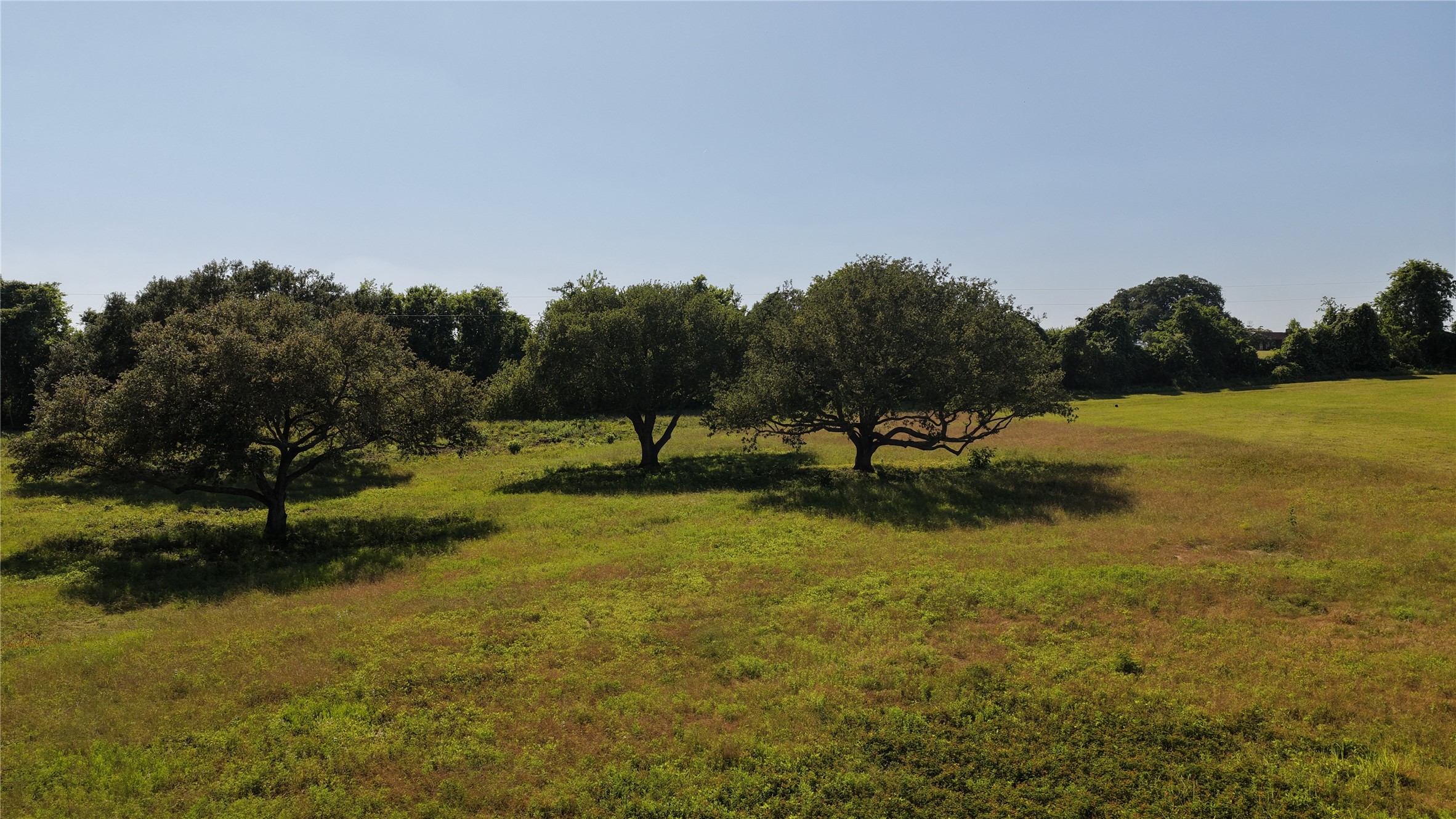 Tbd Tbd Orchard Brenham, TX 77833 - Photo 4 of 8