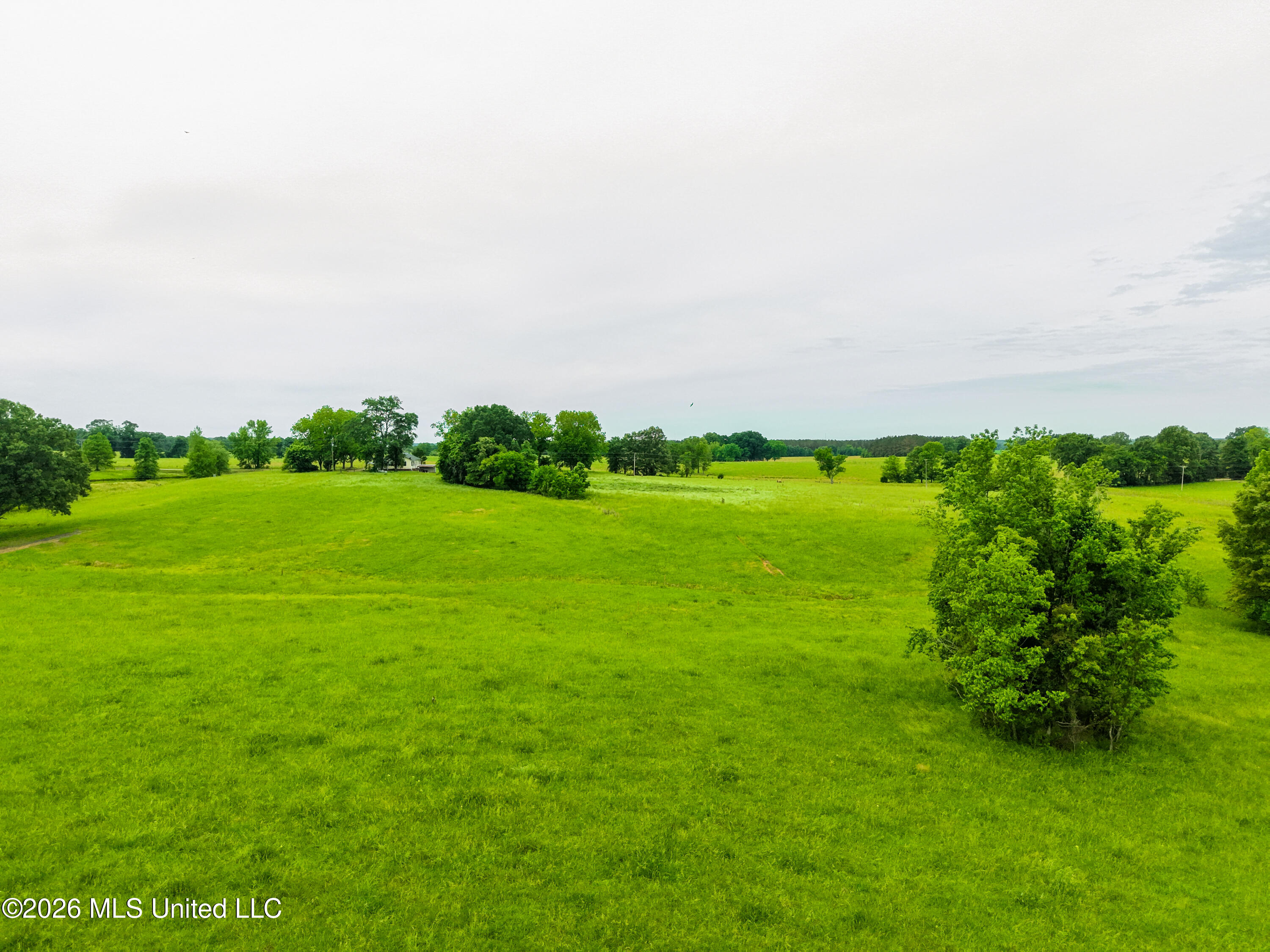 0 Cox Ferry Road Flora, MS 39071 - Photo 1 of 2 DJI_20250501103701_0018_D