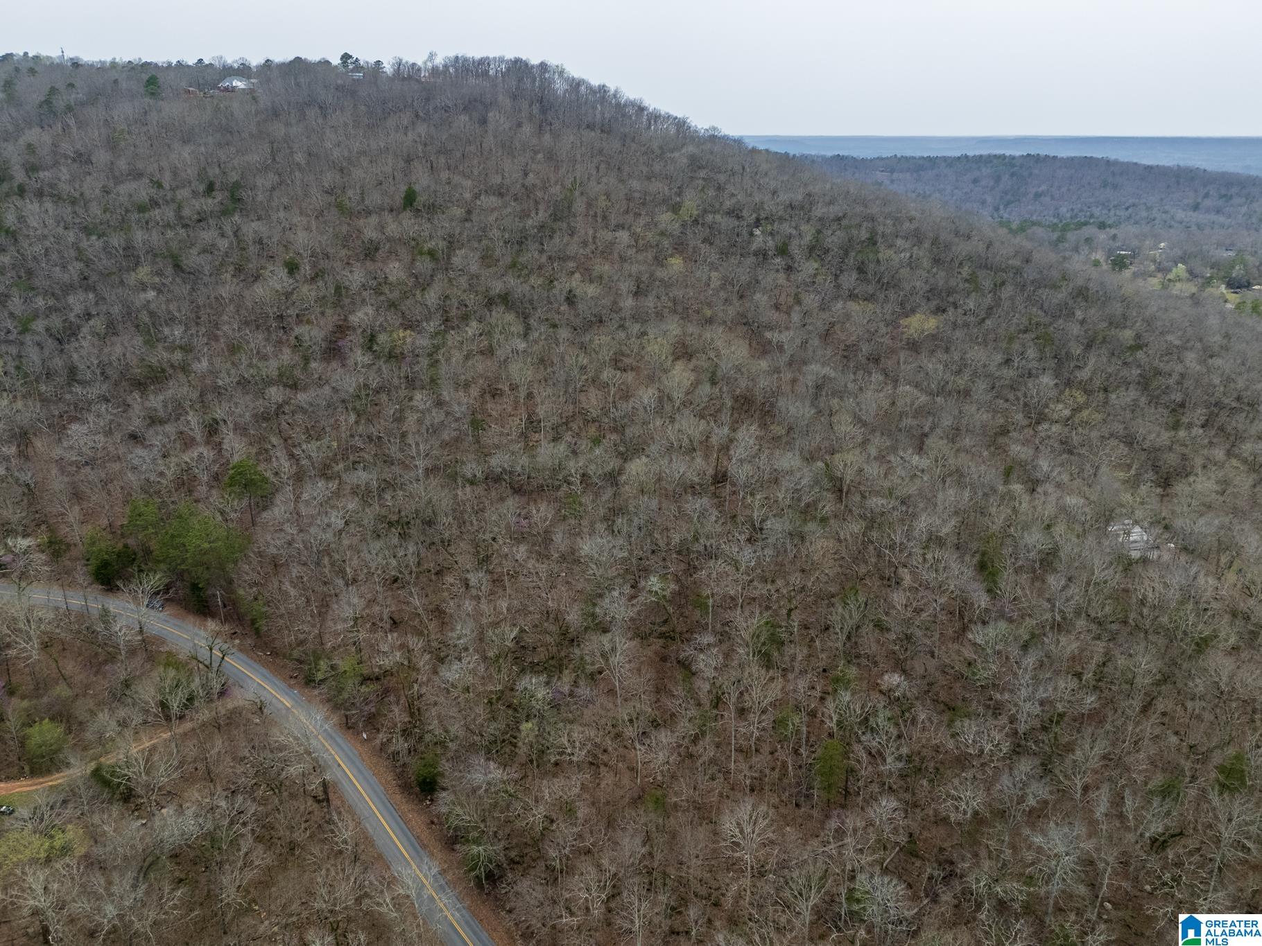 0 Valley Trail, Unit 496 Warrior, AL 35180 - Photo 16 of 31