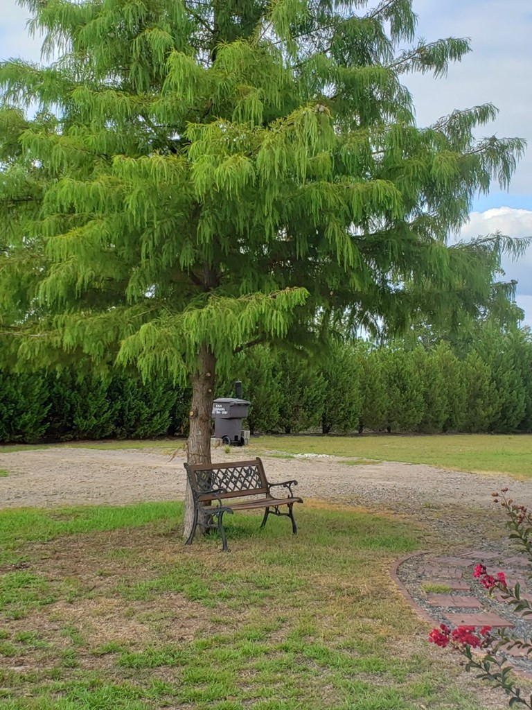 737 North Windsor Road Williston, SC 29853 - Photo 14 of 22