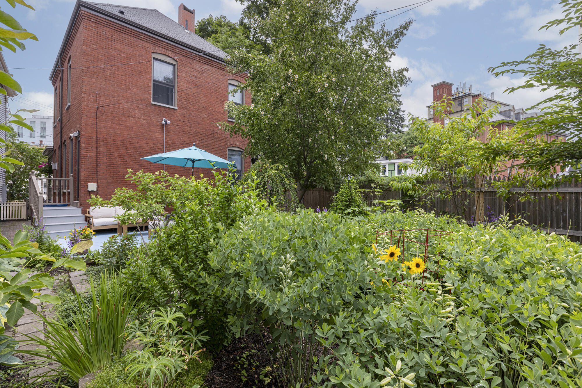261 Vaughan Street Portland, ME 04102 - Photo 53 of 59 261 Vaughan St._W5_053