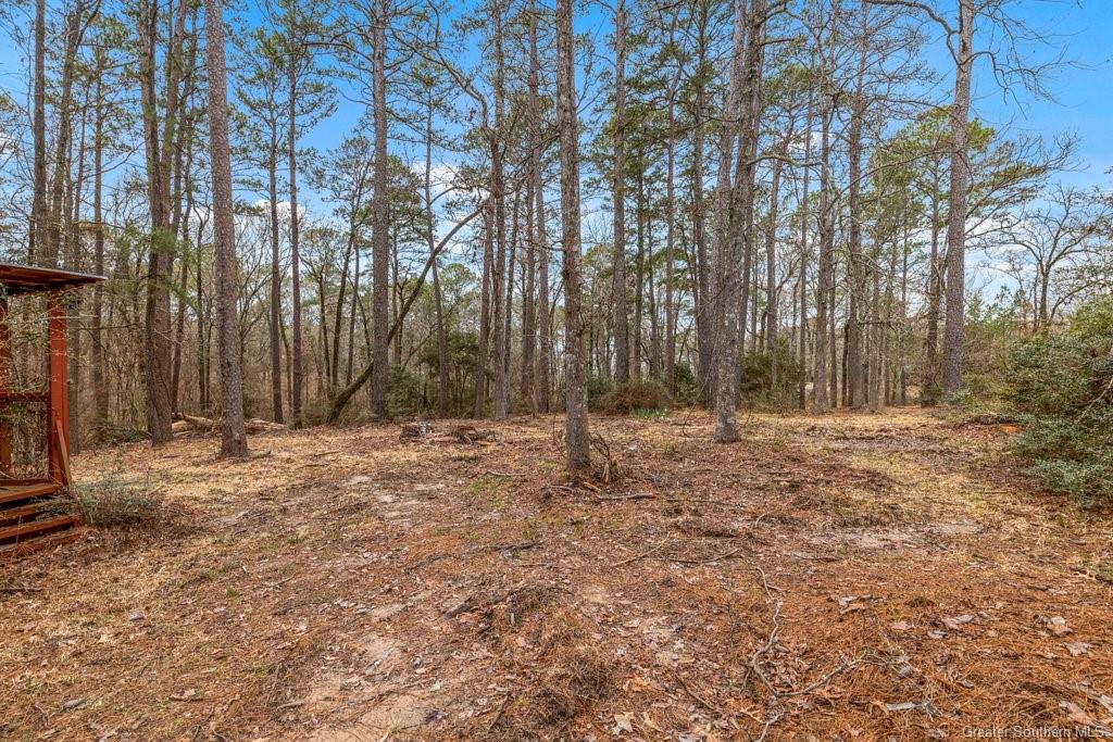 1886 Queens Road Many, LA 71449 - Photo 44 of 53 Gallery Image 44