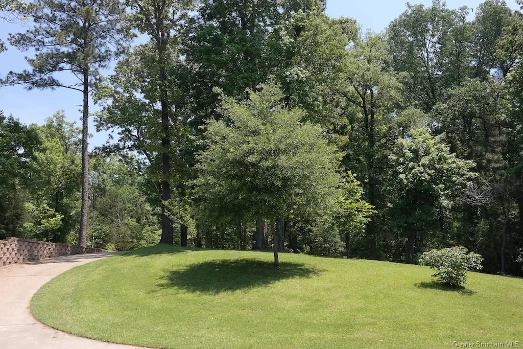 1886 Queens Road Many, LA 71449 - Photo 10 of 53 Gallery Image 10