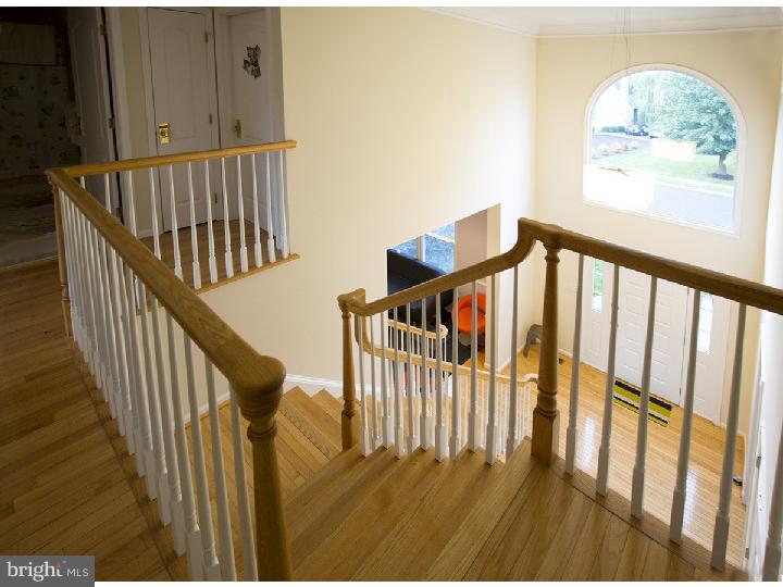 51 Hope Road Holland, PA 18966 - Photo 14 of 22 Foyer
