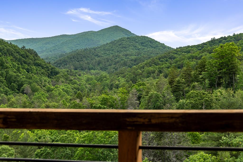 17 Rich Mountain Cherry Log, GA 30522 - Photo 13 of 57 a view of a yard with a street