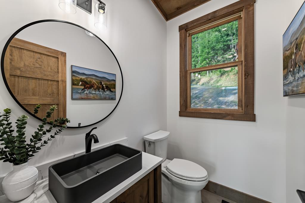 17 Rich Mountain Cherry Log, GA 30522 - Photo 39 of 57 a bathroom with a toilet a sink and a mirror