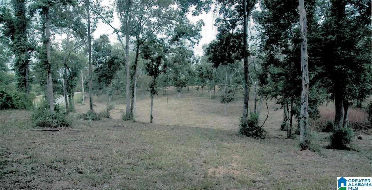 0 Lake Mitchell Road Clanton, AL 35045 - Photo 8 of 10