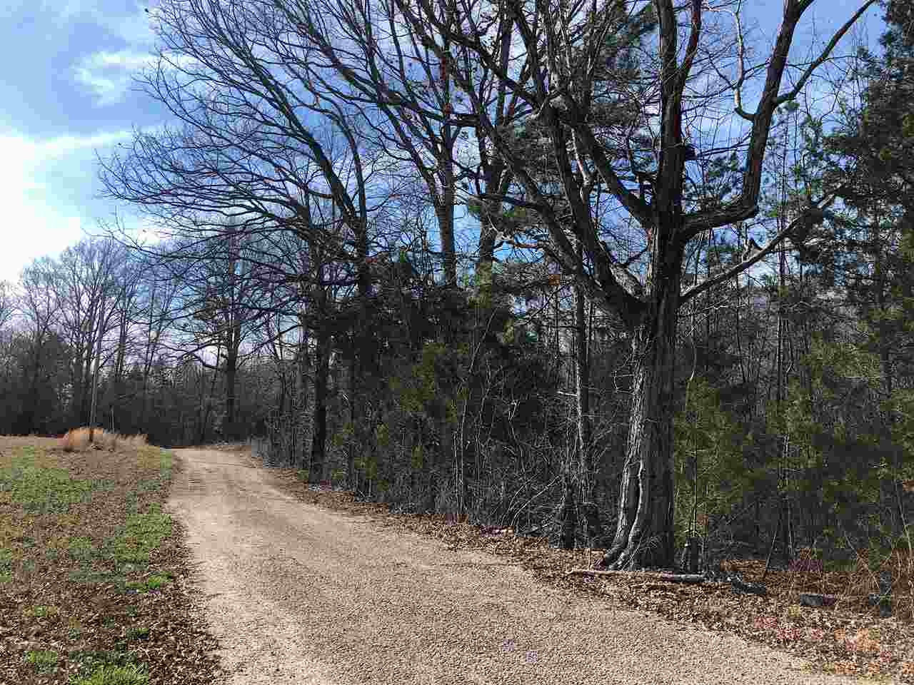 0 Number Two Road Savannah, TN 38372 - Photo 8 of 14 Gallery Image 8