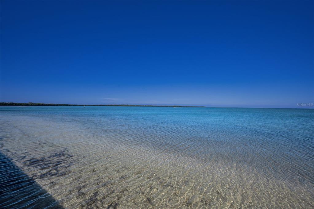 9 Haig Place, Unit 312 Dunedin, FL 34698 - Photo 39 of 67