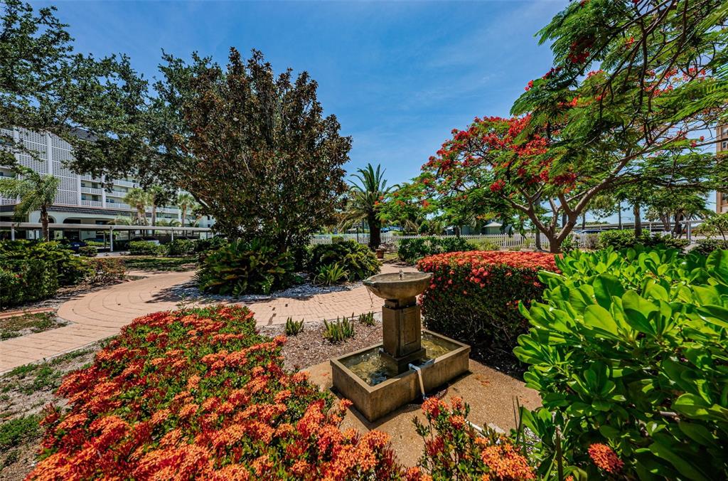 9 Haig Place, Unit 312 Dunedin, FL 34698 - Photo 62 of 67