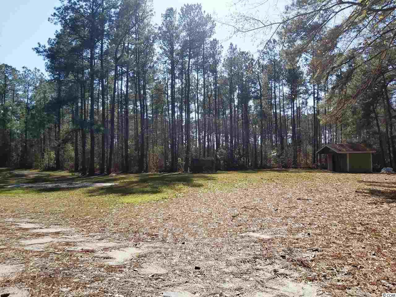 780 Roberts Road Aynor, SC 29511 - Photo 3 of 8 Gallery Image 3
