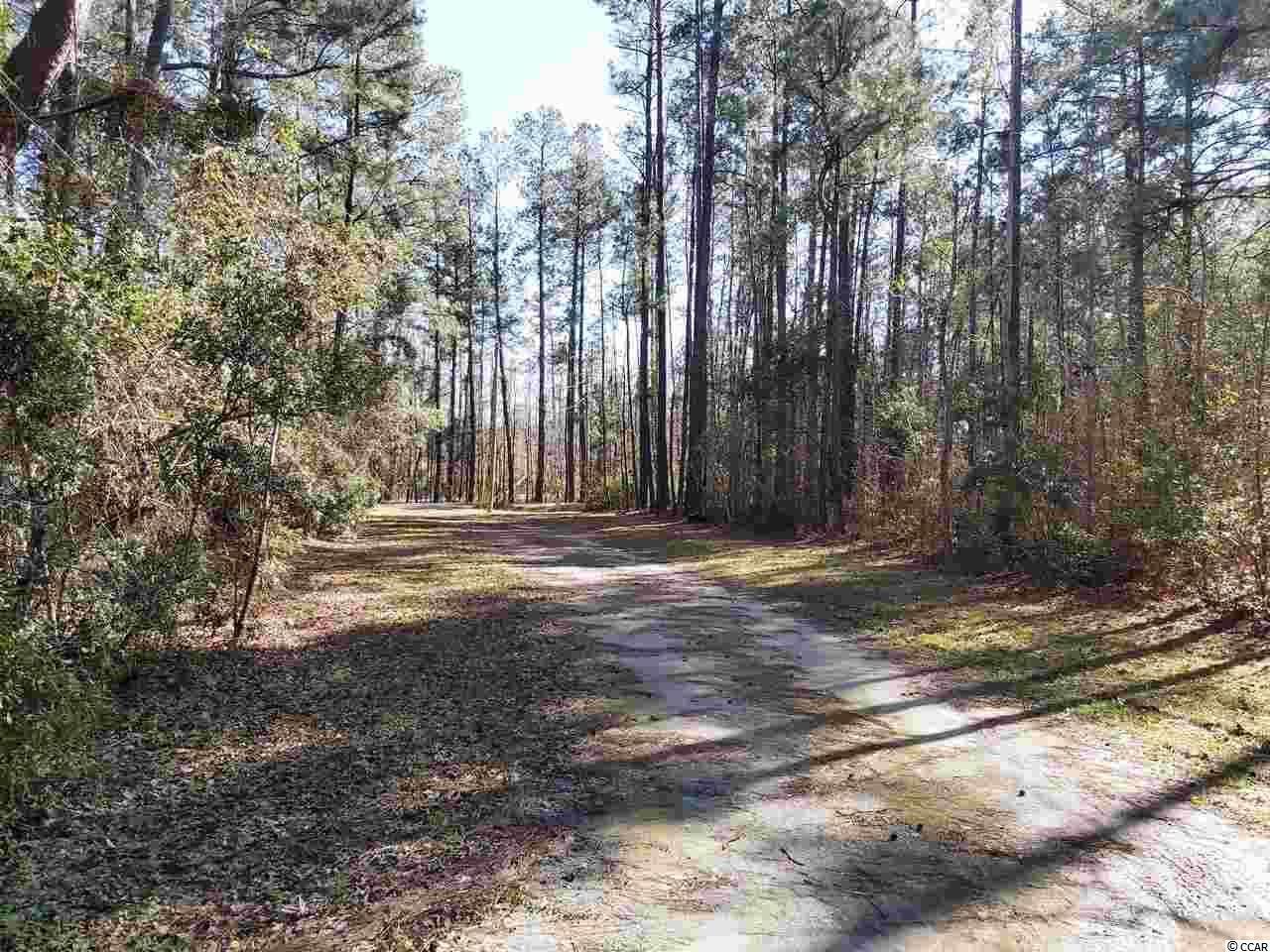 780 Roberts Road Aynor, SC 29511 - Photo 5 of 8 Gallery Image 5