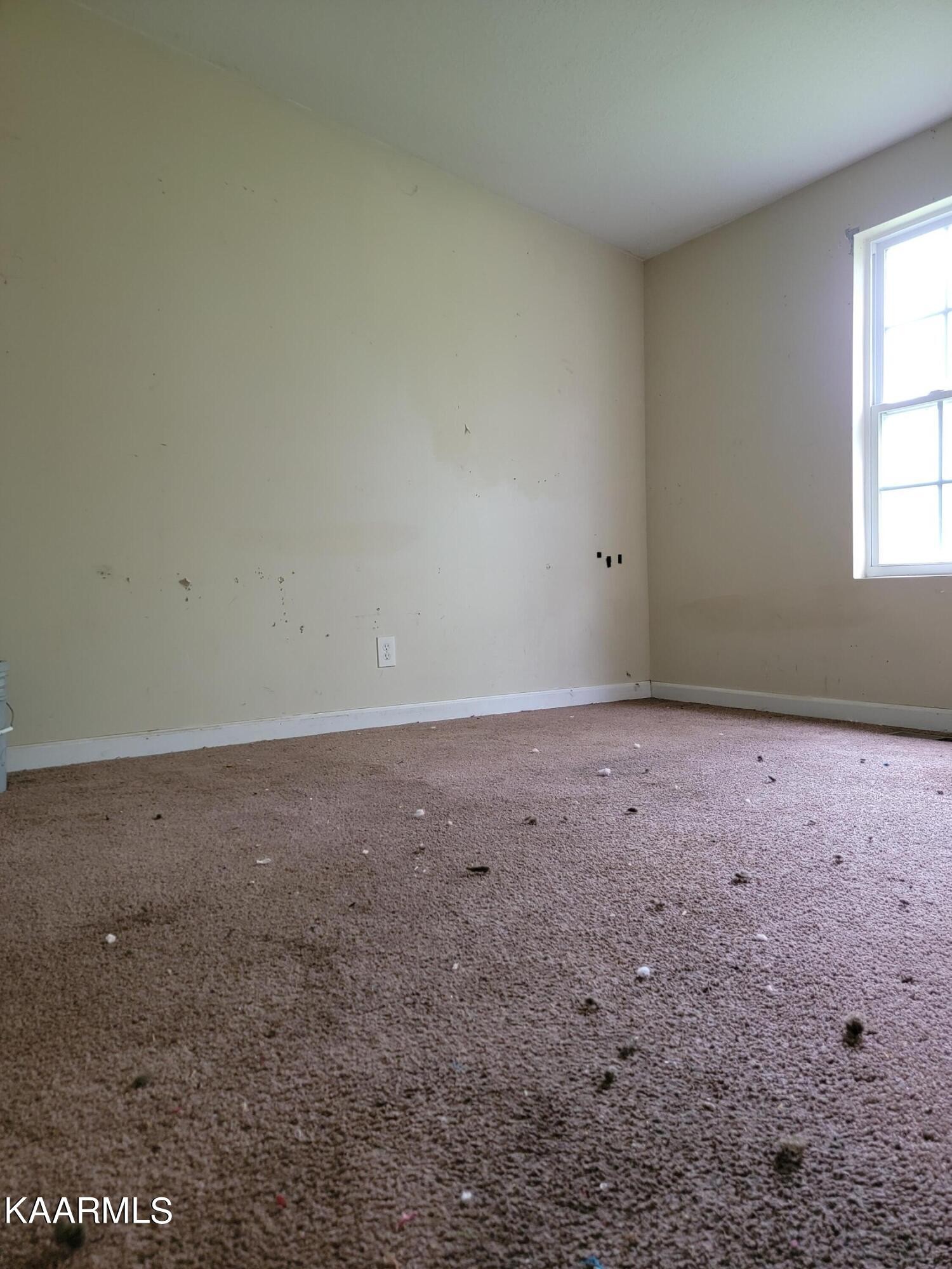 132 Forest Road Oliver Springs, TN 37840 - Photo 10 of 12 Gallery Image 10