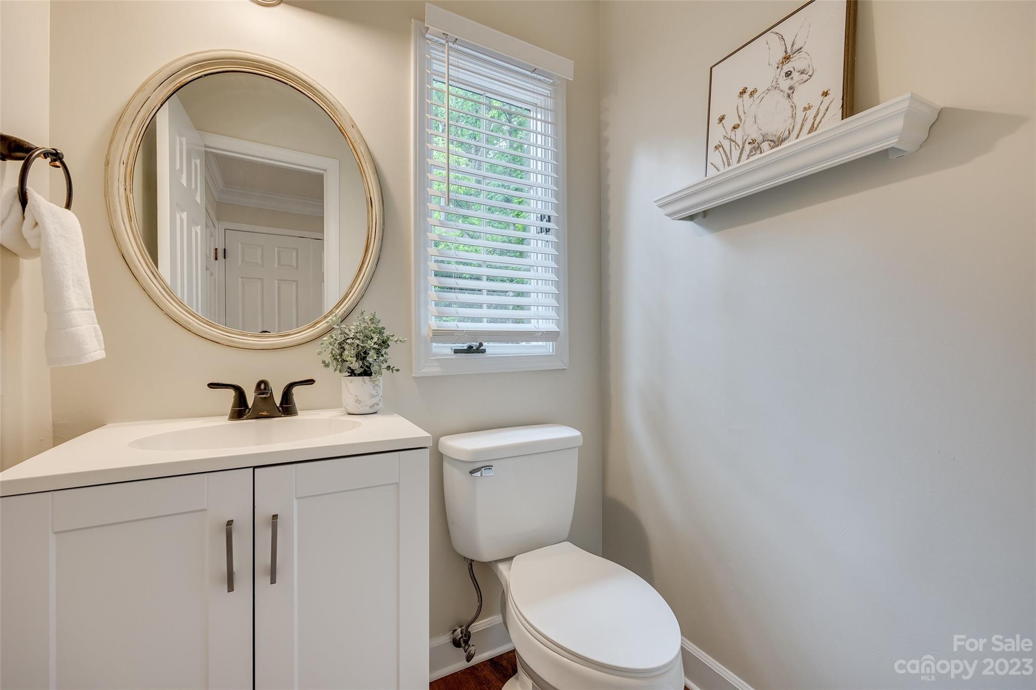 6 Sandy Cove Road Lake Wylie, SC 29710 - Photo 16 of 33 a bathroom with a toilet a sink and a mirror