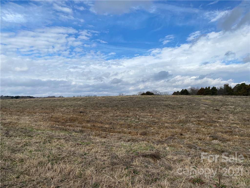 0 Charlie Williams Road, Unit 8 Monroe, NC 28112 - Photo 2 of 4