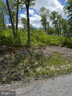 North Camp Road McHenry, MD 21541 - Photo 3 of 16