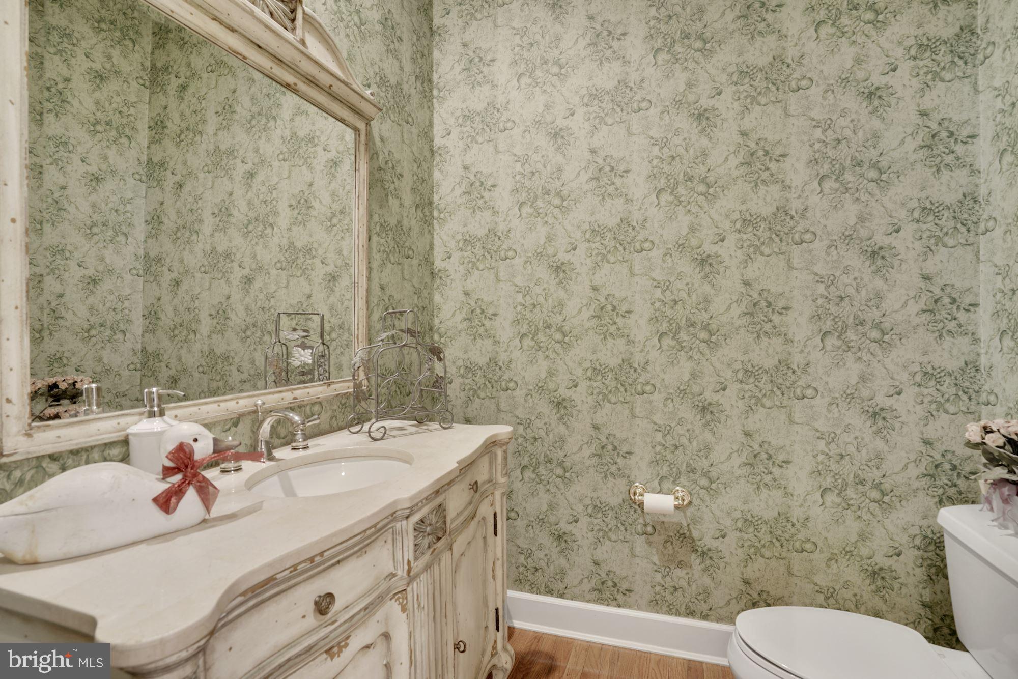 17501 Nesbitt Farm Lane Sandy Spring, MD 20860 - Photo 11 of 61 main level sweet powder room