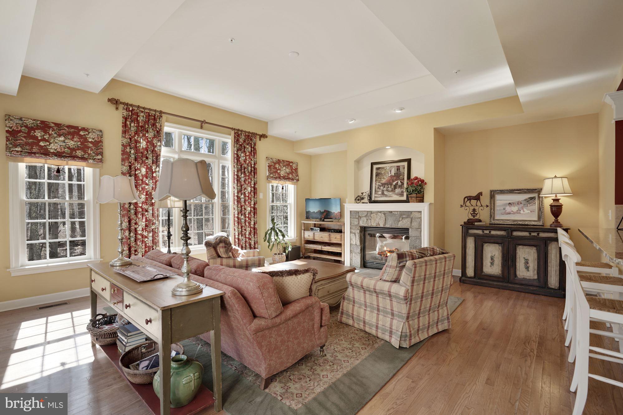 17501 Nesbitt Farm Lane Sandy Spring, MD 20860 - Photo 3 of 61 family room with tons of light and a gas fireplace