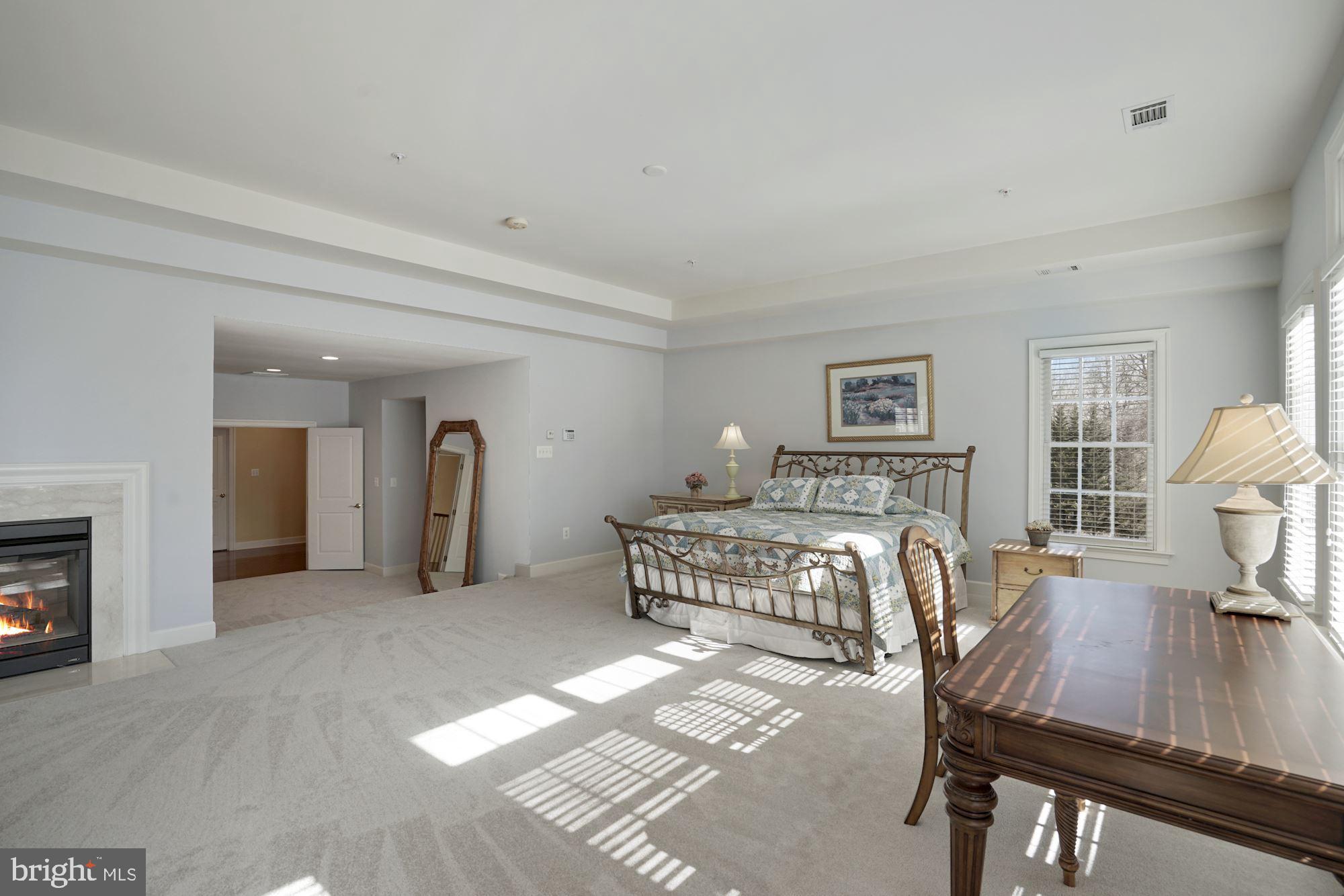 17501 Nesbitt Farm Lane Sandy Spring, MD 20860 - Photo 25 of 61 huge primary bedroom with gas fireplace