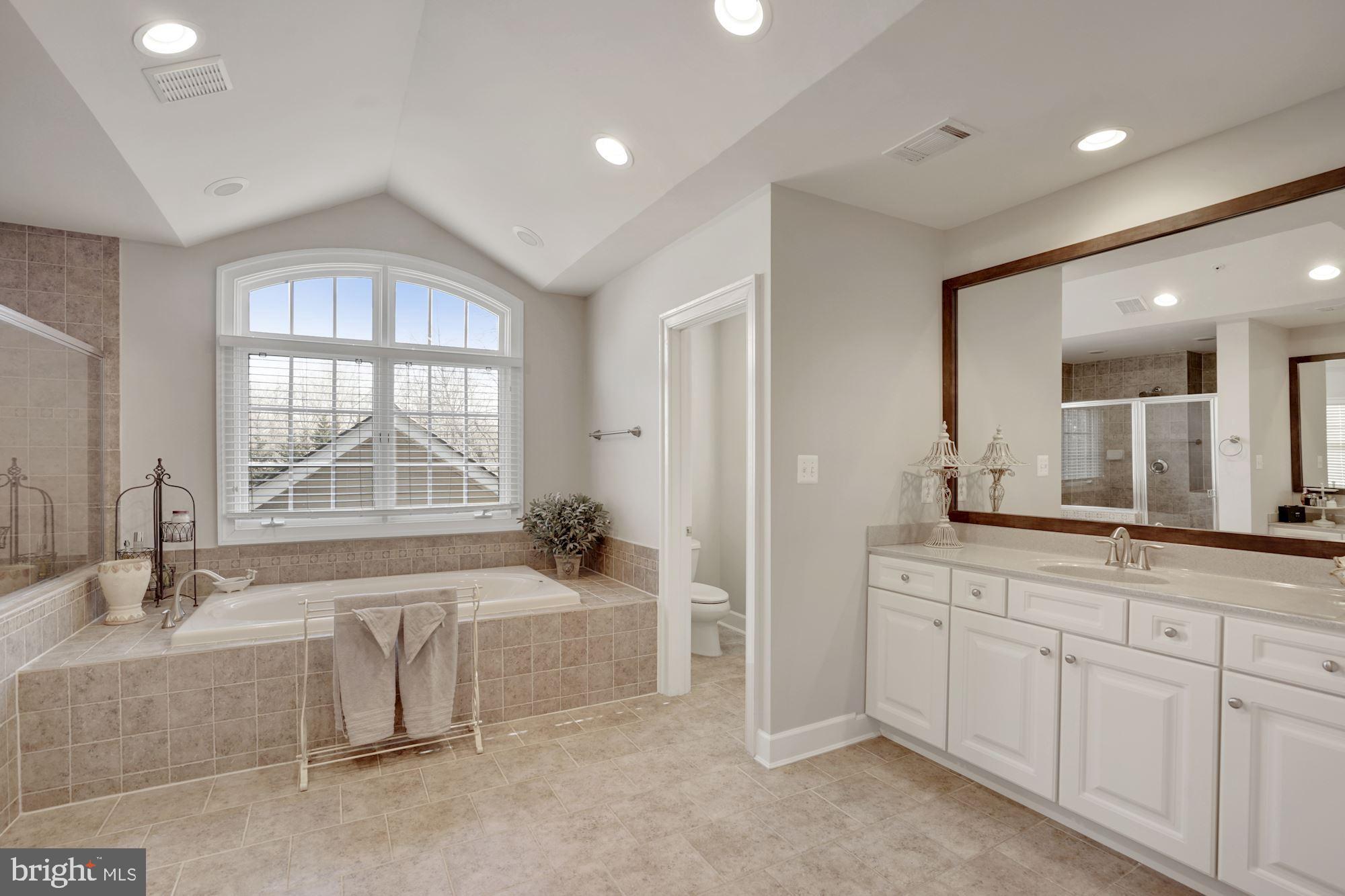 17501 Nesbitt Farm Lane Sandy Spring, MD 20860 - Photo 29 of 61 oversized shower has double shower heads