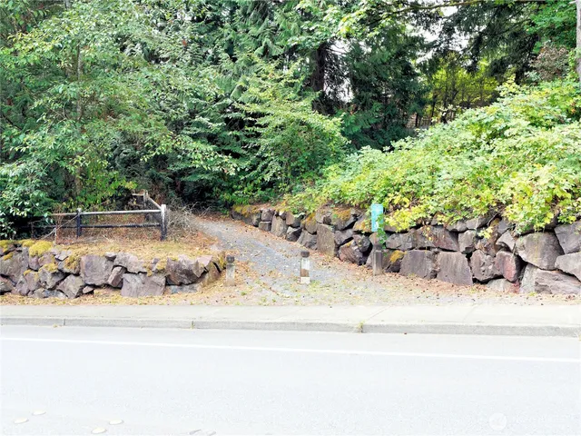 a view of a garden with a tree