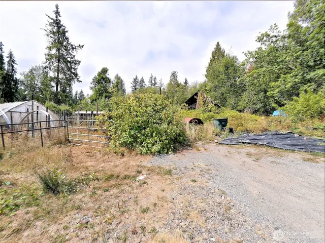 a view of backyard of the house