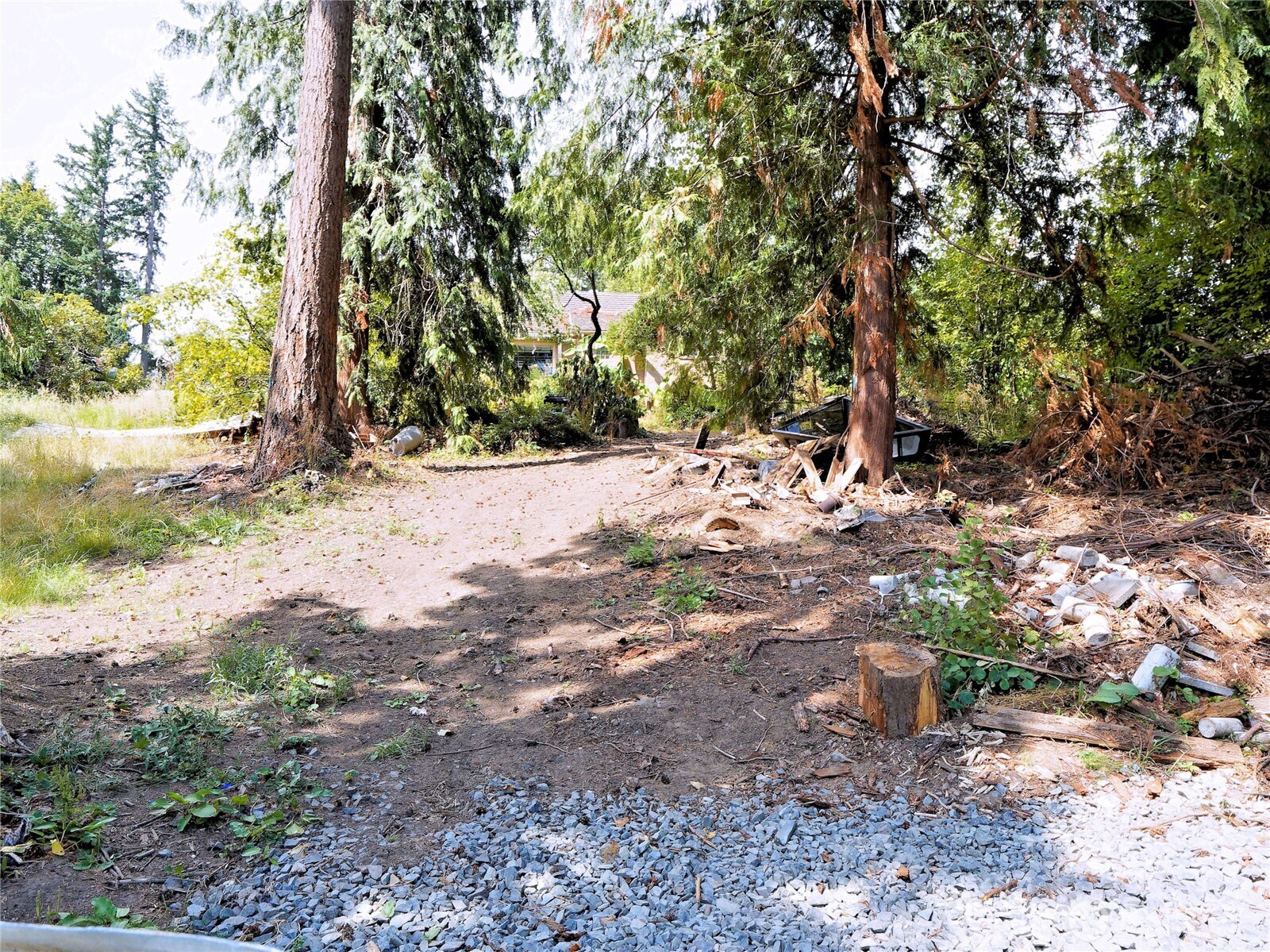 17204 Northup Way Bellevue, WA 98008 - Photo 14 of 30 a wooden bench with view of trees