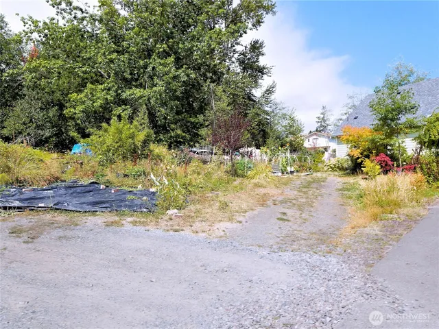 a view of a yard with a tree